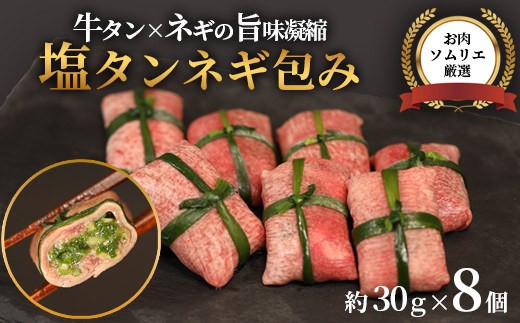 
                  塩タン ネギ包み 8個入（30g×8）牛タン タン塩 焼肉用 冷凍 小分け 個包装 牛肉 お取り寄せ グルメ ギフト 贈答用 京都 舞鶴
                