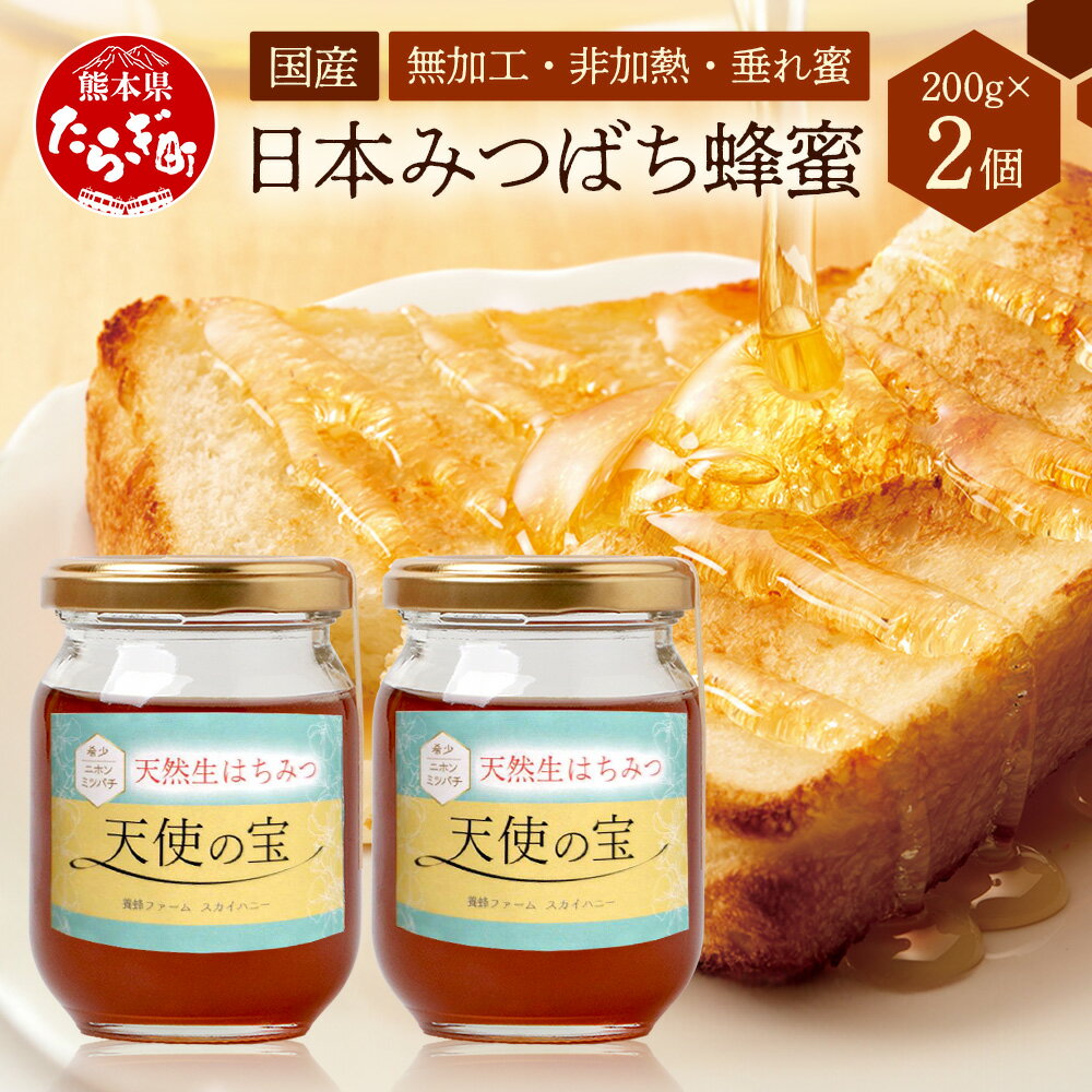 【ふるさと納税】日本みつばち 蜂蜜「天使の宝」2個 セット 希少 ニホンミツバチ 100% はちみつ 高純度 垂れ蜜 ハチミツ ジャム 無添加 はちみつ 無添加 ハチミツ お取り寄せ グルメ 送料無料