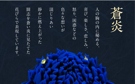 蒼炎　針切菊　上生菓子【有限会社いづみや】[AKGK018]