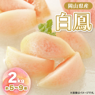 【2026年先行予約】2026年7月中旬頃より発送予定・岡山の白桃・白鳳(2kg箱)【配送不可地域：離島】【1479360】