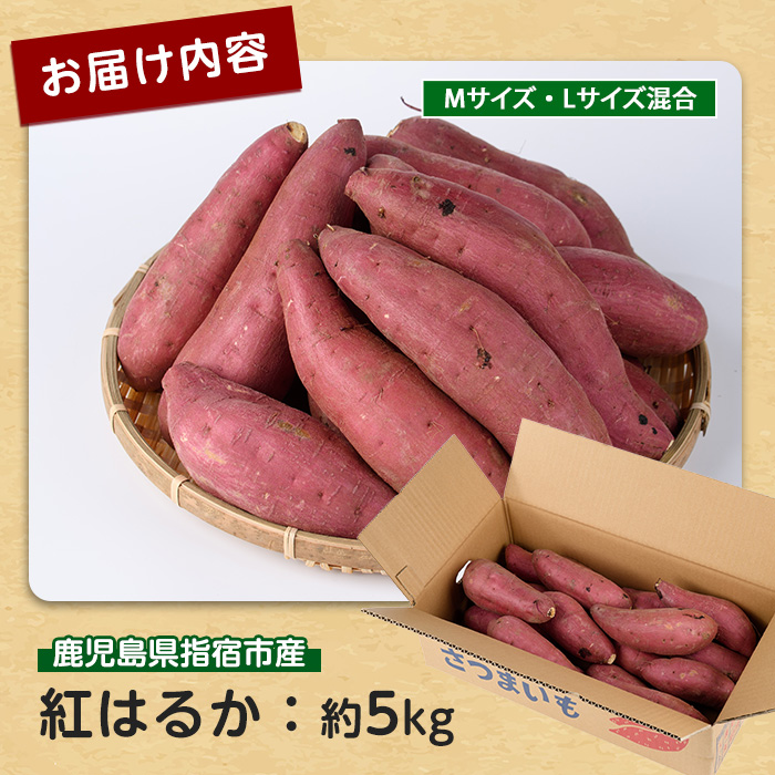 【2026年11月上旬以降～順次発送】らくと農園の紅はるか約5kg(らくと農園/IB084-010) さつまいも おやつ さつま芋 焼芋 やきいも 焼きいも スイーツ