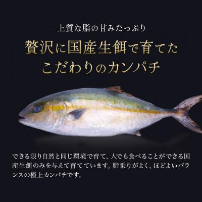 ふるさと納税 芸西村 高知県産　カンパチ　藁焼きたたき【SKS043】 |  | 01