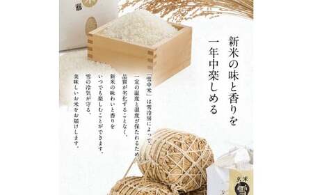 【定期便3ヶ月】ななつぼし 無洗米 20kg（10kg×2袋） 2026年6月発送開始 雪冷気 籾貯蔵 雪中米 北海道 nr-1484