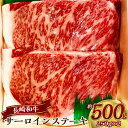 【ふるさと納税】長崎和牛サーロインステーキ 約250g×2枚 計500g 牛肉 お肉 和牛 黒毛和牛 霜降り 冷凍 長崎県産 国産 長崎県 長崎市 送料無料