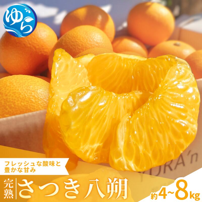 【ふるさと納税】＼来シーズン先行予約／完熟さつき八朔 約4kg・約8kg【2026年3月下旬頃から発送予定】 / はっさく ハッサク 柑橘 期間限定 果物 くだもの フルーツ 産地直送 和歌山