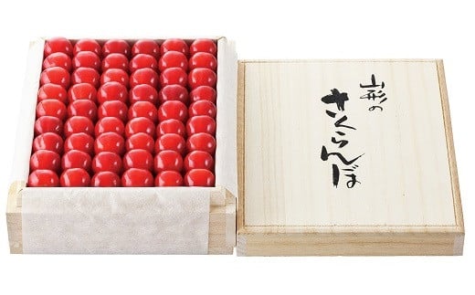 
            07-01-203　新春超早出しさくらんぼ（佐藤錦300g・㈱ジェイエイてんどうフーズ）
          