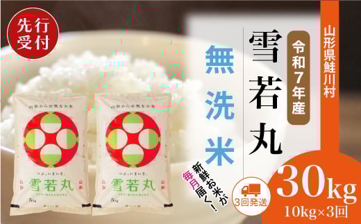 
            ＜令和7年産米先行受付＞ 鮭川村 雪若丸 【無洗米】 定期便 30kg （10kg×1ヶ月間隔で3回お届け）＜配送時期選べます＞
          