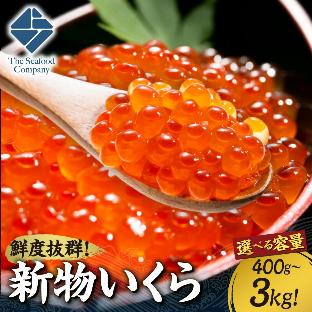 【ふるさと納税】 新物 いくら 【 選べる 容量 】 400g 800g 1.2kg 1kg 2kg 3kg 味付き 新鮮 鮮度抜群 イクラ 鮭卵 魚卵 ikura 海鮮 お取り寄せ グルメ おつまみ ご飯のお供 ギフト 冷凍 小分け 北海道 札幌市