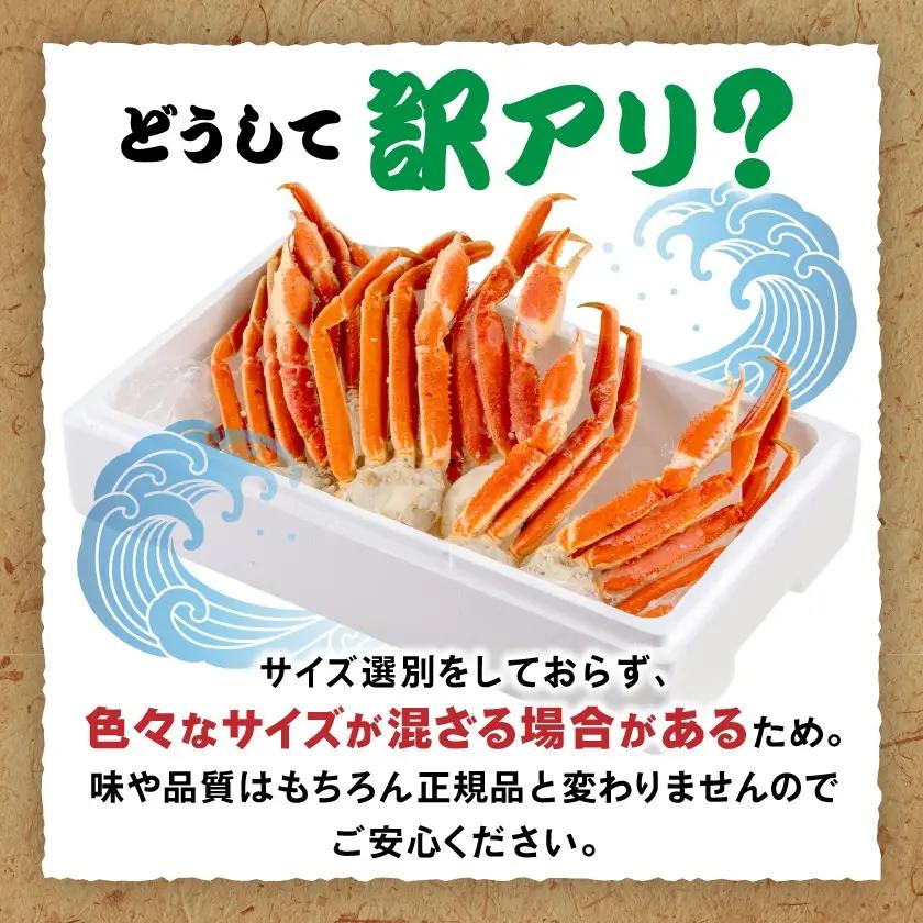 訳アリボイル本ズワイガニ肩 1.3kg【配送不可地域：離島】【1607630】