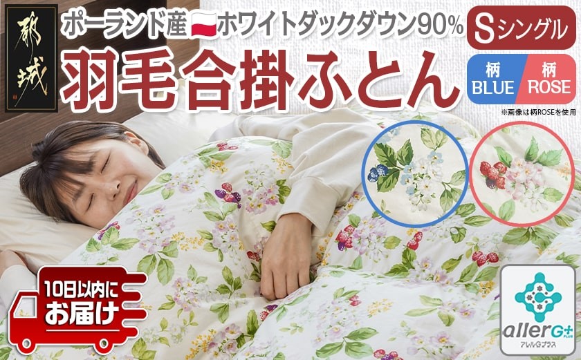 
            【選べる2色】羽毛合掛ふとん ポーランド産ホワイトダック90％【S】≪みやこんじょ特急便≫_AI-E106-Q_(都城市) 羽毛布団 寝具 抗菌防臭加工 ダウン SEKアレルGプラス加工 日本製 合い掛け布団 シングル
          