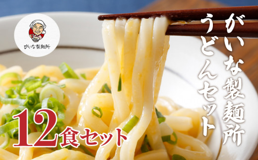 
がいな製麺所のうどんセット
