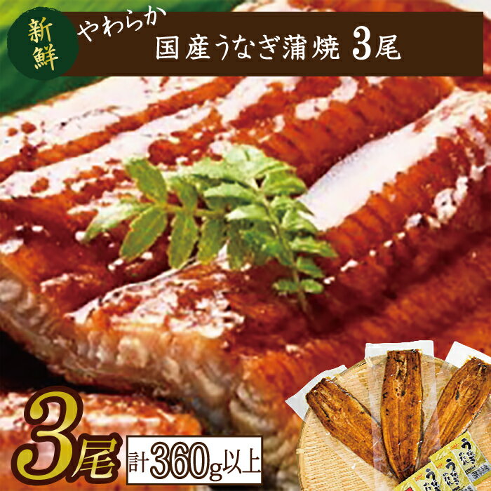 【ふるさと納税】やわらか国内産うなぎ蒲焼満足サイズ！120～140g 3尾　計360g以上|うなぎ 鰻 蒲焼 満足 茨城県 行方市(AD-84-1)