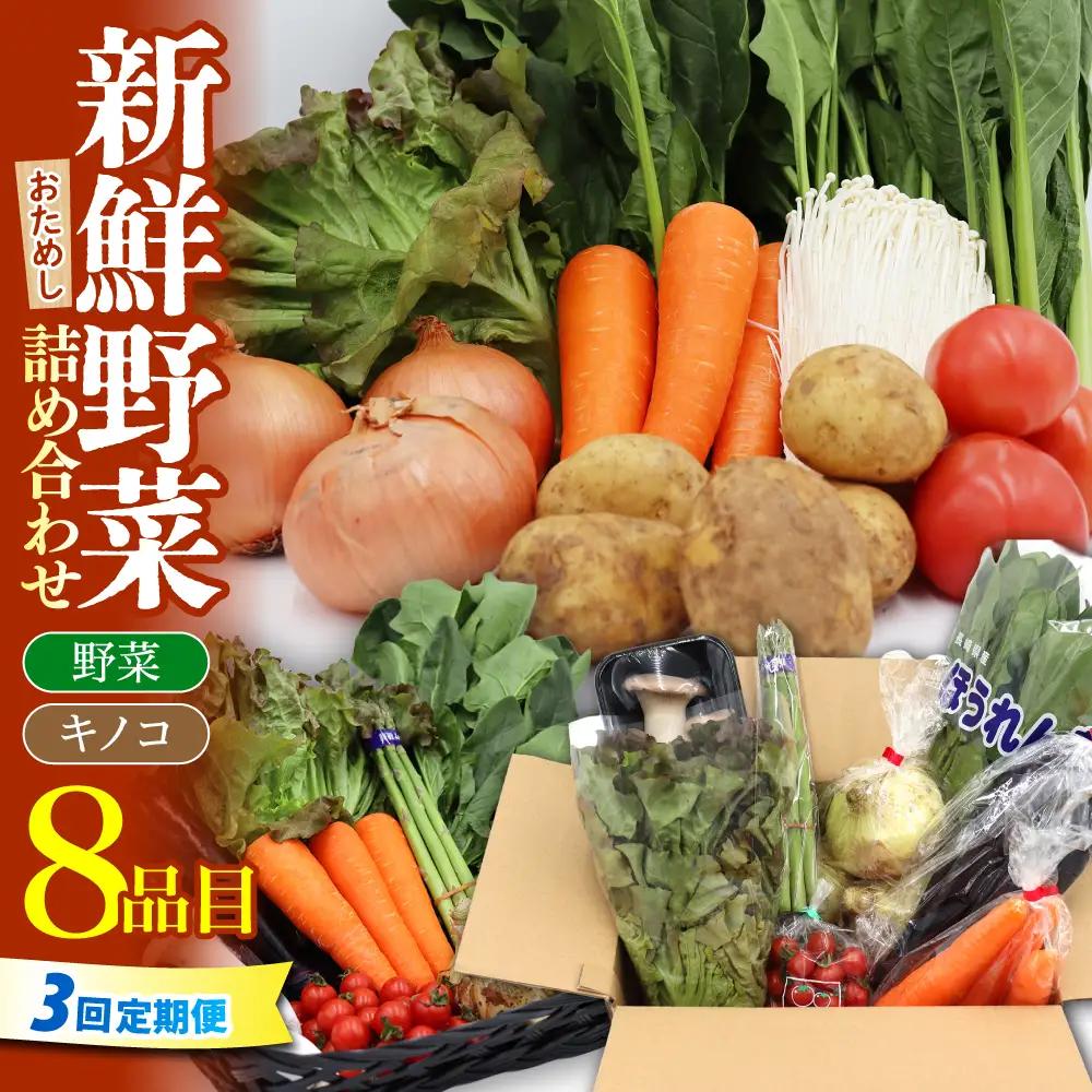 【3回定期便】野菜 定期便 8品目 [SCZ028]