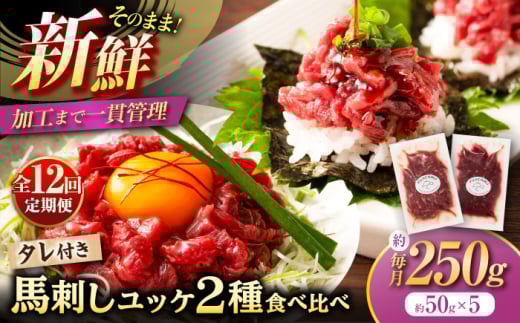 【全12回定期便】「フジチク」ユッケ 2種の贅沢 食べ比べセット / 馬刺し 熊本馬刺し 国産馬刺し 熊本 菊陽 ユッケ 赤身 ふじ馬刺し 醬油 生姜【株式会社フジチク】[BHAD115]