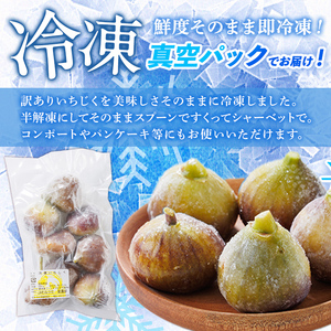 訳あり！冷凍 いちじく とよみつひめ (計1kg・500g×2袋) 冷凍 いちじく イチジク フルーツ 果物 くだもの 福岡限定 オリジナルブランド シャーベット コンポート パンケーキ 訳アリ 真空