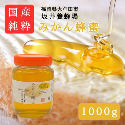 ふるさと納税 大牟田市 みつばちの雫　国産みかん蜂蜜　1000g