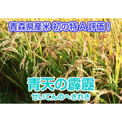 ふるさと納税 青森県 青森県産 青天の霹靂 精米済み 5kg |  | 01