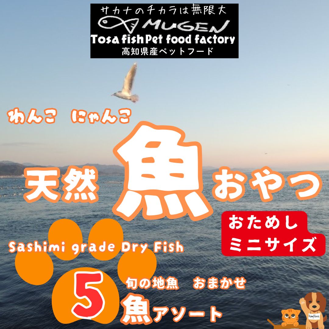 【ふるさと納税】M220【お魚100％・ペットのおやつ】手作り 無添加ペットフード　旬の5魚アソート　ミニサイズ　おためし！　犬と猫のおやつ
