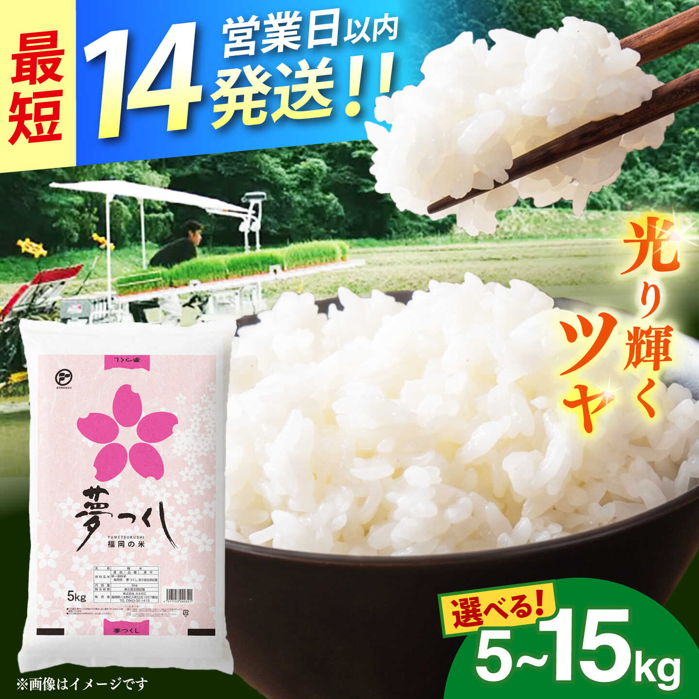 【ふるさと納税】【選べる容量 5kg / 10kg / 15kg】令和7年産 福岡県産 夢つくし《築上町》【カネガエ】[ABFA001]