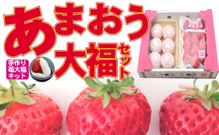 いちご 2027年2月下旬より発送 うるう農園のあまおう大福キット（あまおう1パック＋大福6個セット）※配送不可：離島 果物 和菓子 生菓子 苺大福 フルーツ 和スイーツ 特別栽培 福岡県産 おやつ 