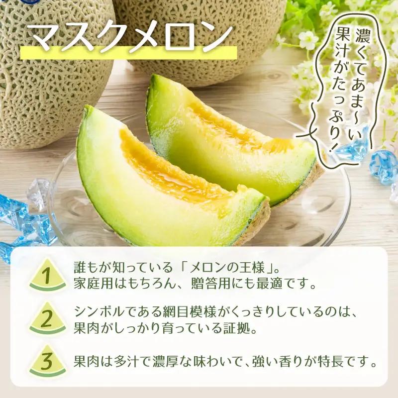 【先行予約】青肉マスクメロン（1.5kg以上 2玉入）味も見た目も抜群！アールスメロン  / あわら 期間限定 果物 フルーツ 産地直送 青肉 人気 ギフト 贈答 ※2026年7月上旬より順次発送  