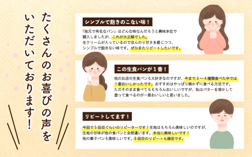 【12回定期便】パンのピノキオ特製　ふんわり生食パン2本セット（合計24本）R6-971