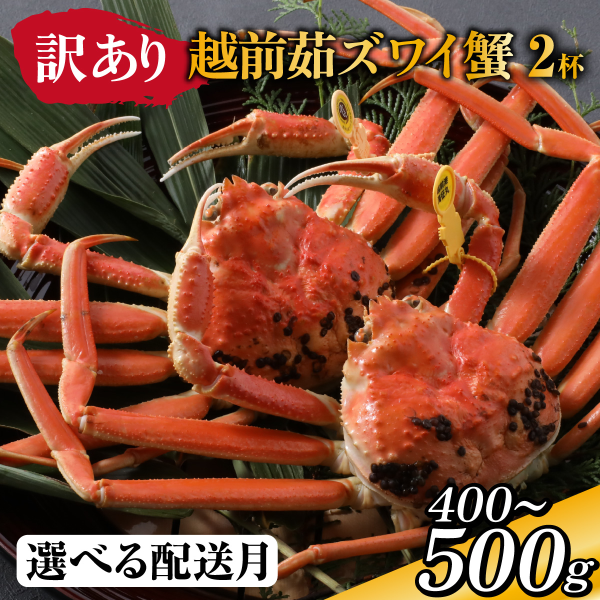 [到着日指定可]【訳あり】蟹好きが唸る老舗カニ料理店の越前茹ズワイ蟹　ミニ(400〜500g) 2杯【11月中旬より順次発送】 [G-085034]/ カニ かに かにボイル かにみそ 越前ガニ ズワイガニ ずわい蟹 ズワイガニ 姿 福井 国産 冷蔵 送料無料 越前ガニ ズワイガニ ずわい蟹 ズワイガニ