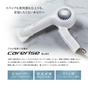 ドライヤー ケアライズ イオン プロドライヤー 強風 タイプ TF-2408 ダメージ 軽減 温風 冷風 優しい 髪 ヘアケア 強力 風量 調節 3段階 プロ仕様 静岡県 藤枝市 （ ﾄﾞﾗｲﾔｰ ﾄ