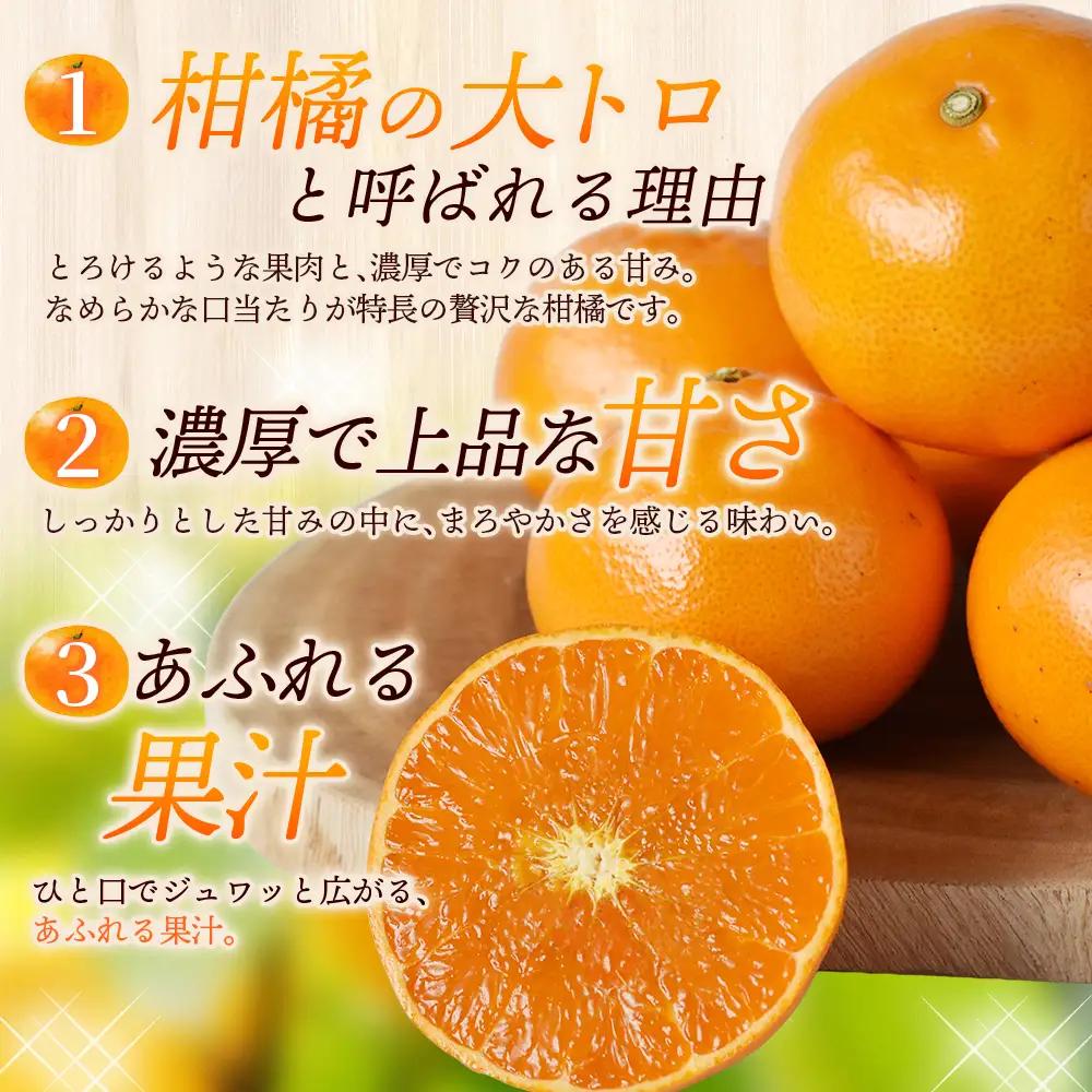 せとか 笹本農園のせとか 約5kg M～2Lサイズ混合 みかん【ssmt0002】