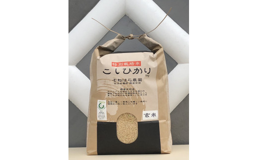 そねはら農園　【穂高有明産】特別栽培米こしひかり「玄米５㎏」　