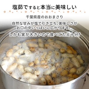 【今秋収穫分】落花生 おおまさり 2.5kg 殻付き 予約受付 生落花生 千葉県産 ピーナッツ 大粒 産地直送