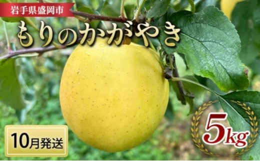 【先行予約】 10月中旬発送 もりのかがやき りんご 5kg 14～20玉  完熟 フルーツ 果物 旬 旬のフルーツ 季節のフルーツ 林檎 リンゴ 国産 産地直送 くだもの お取り寄せ 贈り物 贈答用 贈答 ギフト 贈り物 おすすめ 美味しい デザート 特産品 名産品 ご当地 岩手県 盛岡市 東北 岩手 盛岡 北田りんご園 kitada013