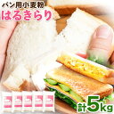 【ふるさと納税】北海道十勝 前田農産パン用小麦粉「はるきらり」5kg(1kg×5袋) 有限会社 十勝太陽ファーム 送料無料 北海道 本別町《60日以内に出荷予定(土日祝除く)》