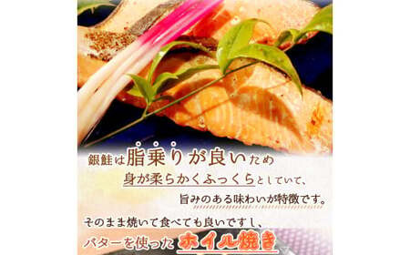 定期便【全4回/毎月お届け】魚鶴お楽しみ海鮮4種セット(銀鮭切身・うなぎ蒲焼・銀だら切身・塩さばフィレ)全4回    / 銀鱈 さけ サバ だし うなぎ たら 魚 切り身 切身 魚 海鮮 焼き魚 ご飯