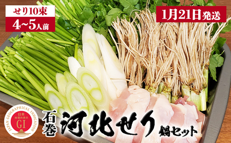 【1月21日発送】せり鍋 セット 4-5人前 せり 長ねぎ パックご飯 スープ 鶏肉 セリ セリ鍋 河北せり 野菜 鍋