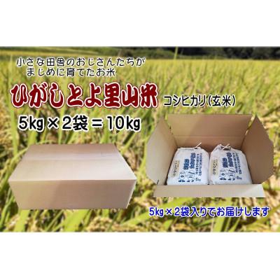 ふるさと納税 山添村 【令和8年産】ひがしとよ里山米 玄米10kg(5kg×2袋)