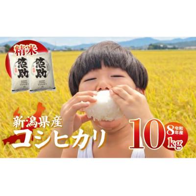 ふるさと納税 新発田市 【11月発送】令和8年産 特別栽培米コシヒカリ 10kg 精米