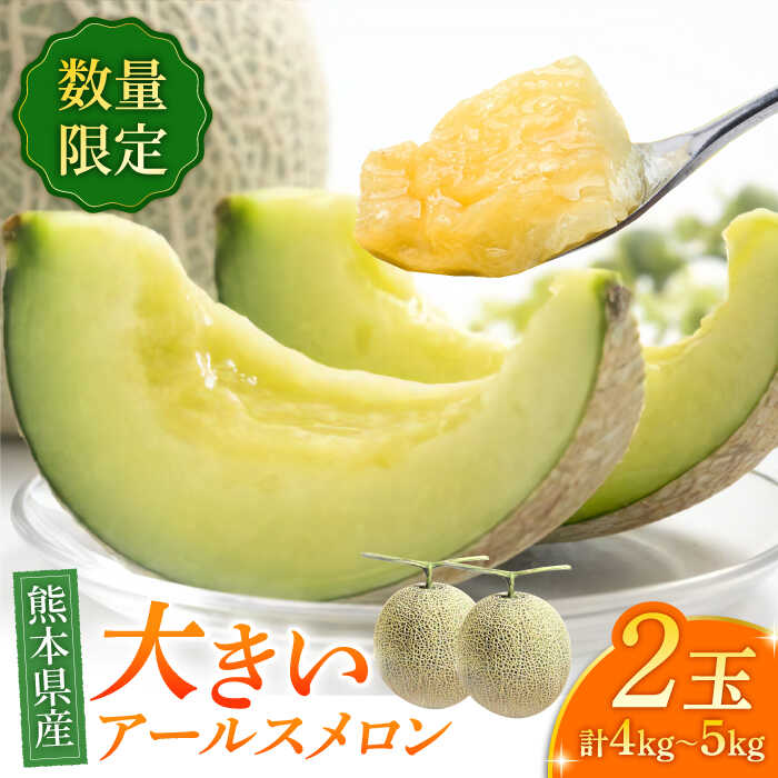 【ふるさと納税】【先行予約】アールスメロン 約4kg（2L〜）2玉入【道の駅 水辺プラザかもと】[ZEG001]