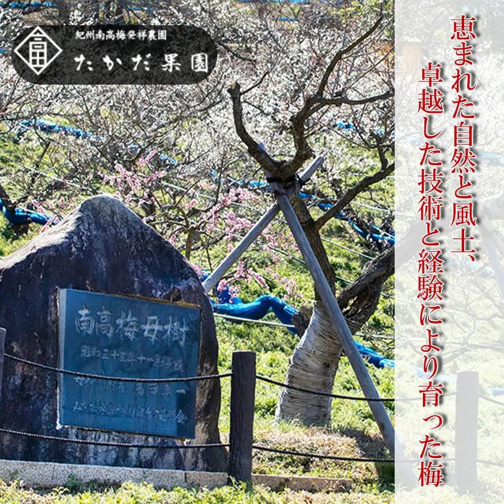 有機 自然のかたち しそ梅・白干梅 200g 2個セット tkdkaen009【tkdkaen009】