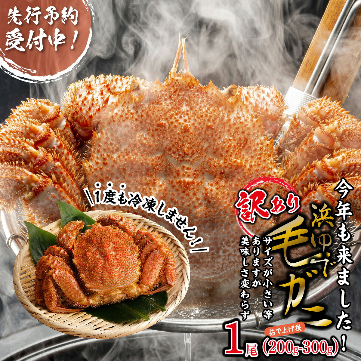 【ふるさと納税】 ＜ 2027年2月上旬より発送開始 ＞ 訳あり 北海道産 浜ゆで 毛ガニ 1尾 ( 200g ～ 300g ) 毛蟹 毛ガニ 冷蔵 毛蟹 けがに 蟹 カニ 蟹味噌 かに味噌 カニ味噌 海鮮 海産物 魚介 みそ わけあり 訳アリ 北海道 新ひだか町 ＜ 予約受付 ＞