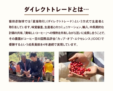 【定期便6回】猿田彦珈琲 ふるさと納税限定Hometownブレンド 500g | コーヒー豆 コーヒー 珈琲 厳選 最高品質 東京都