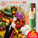 【ふるさと納税】産地直送！旬の野菜（5～8種類）＆ドレッシング セット 全6回 隔月定期便 2か月に1回お届け おまかせ 詰合せ 宮崎県新富町産