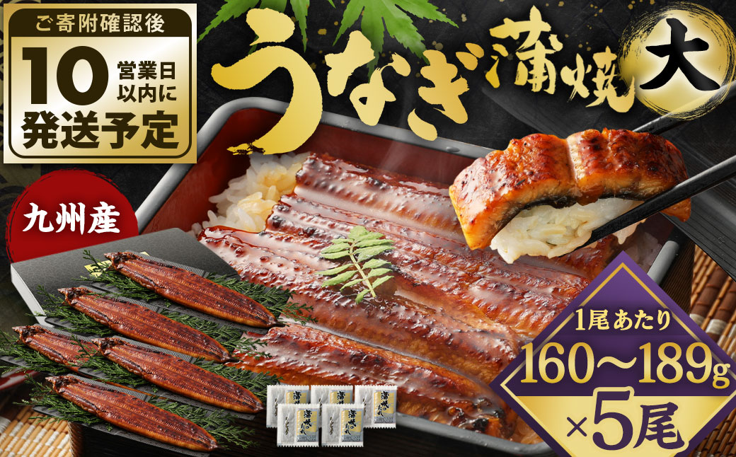 【年内配送】九州産 うなぎ 蒲焼 大 5尾 計780g以上 (1尾あたり160～189g)