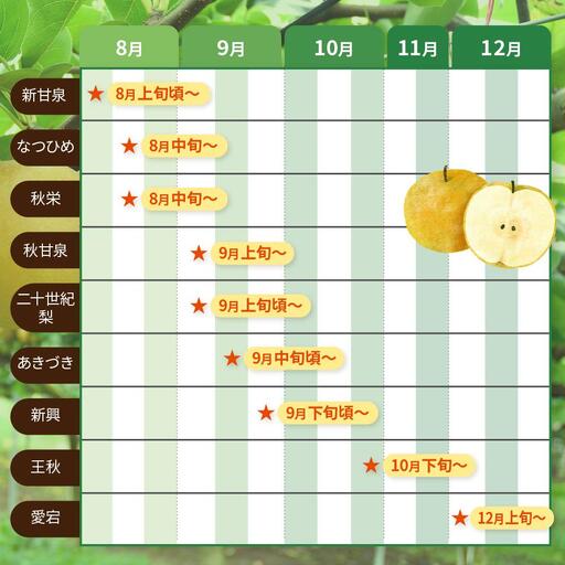 【先行予約】数量限定 鳥取県産梨 愛宕（あたご） 5kg（5～6玉）