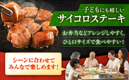 佐賀牛 赤身 希少部位 ヒレ セット (ステーキ180g×3 / サイコロステーキ400g)  吉野ヶ里町/やま田商店[FCH025]