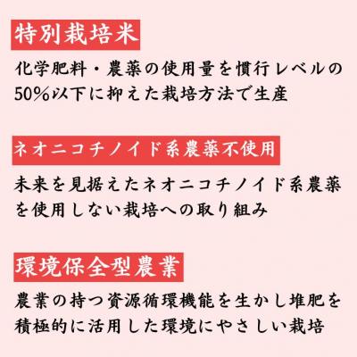 ふるさと納税 宍粟市 玄米 30Kg コシヒカリ「 みかたの舞 」 特別栽培米　P17 |  | 02
