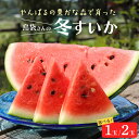 【ふるさと納税】 先行予約 島袋さんの冬スイカ 選べる 1玉 （4～5Kg） 2玉 （4～5Kg×2） すいか 西瓜 国産 農家直送 沖縄県産 沖縄 フルーツ くだもの 【2025年2月下旬～3月発送予定】