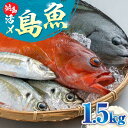 【ふるさと納税】対馬 活〆 島 魚 セット 1.5kg《対馬市》【対馬地域商社】九州 長崎 鮮魚 ボックス [WAC005] 13000 13000円