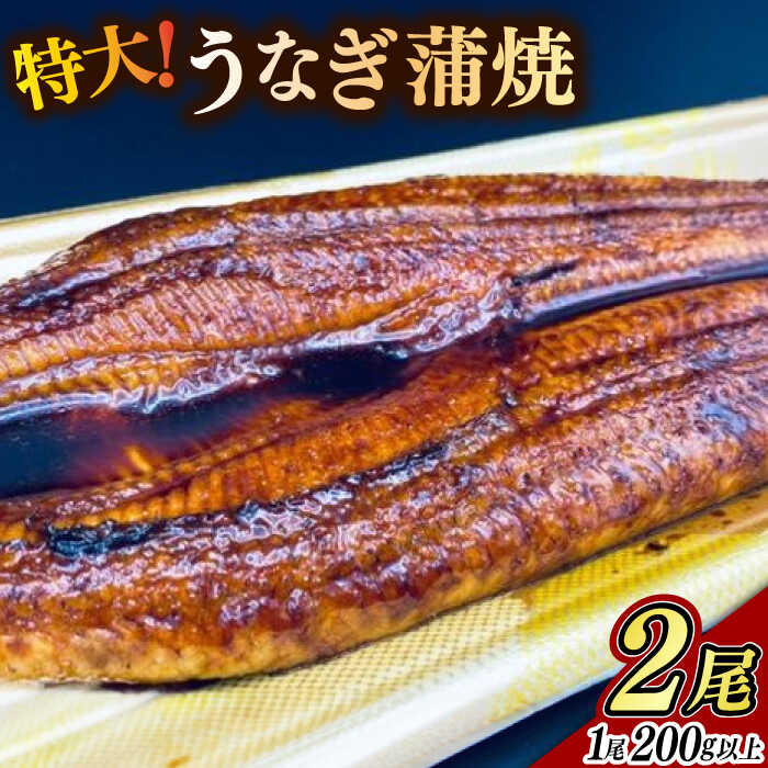 【ふるさと納税】特大うなぎ蒲焼 2尾（200g以上 / 尾） / 鰻 うなぎ 蒲焼 / 佐賀県 / 佐嘉ZEYTAKUYA（山下鮮魚店）[41AQAA054]