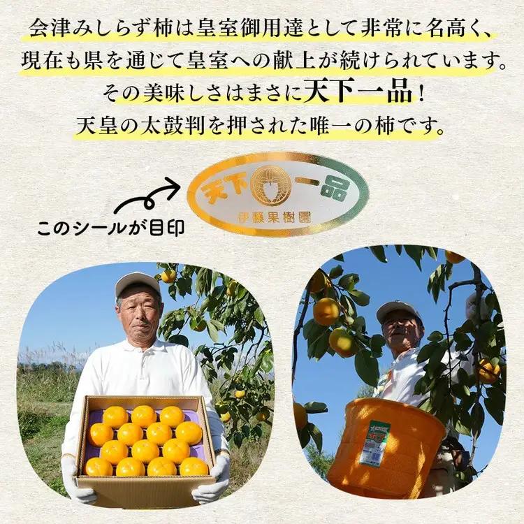 23-B 柿 会津みしらず柿 3Lサイズ 14個入り 約3kg ※2026年11月～発送